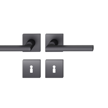 FSB 1035 Türgriff für Bundbartrosette Aluminium gestrahlt, schwarz eloxiert (0810)