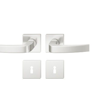 FSB 1163 Türgriff für Bundbartrosette Aluminium naturfarbig (0105)