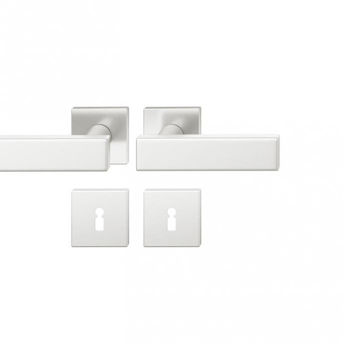 FSB 1003 Türgriff für Bundbartrosette Aluminium naturfarbig (0105)