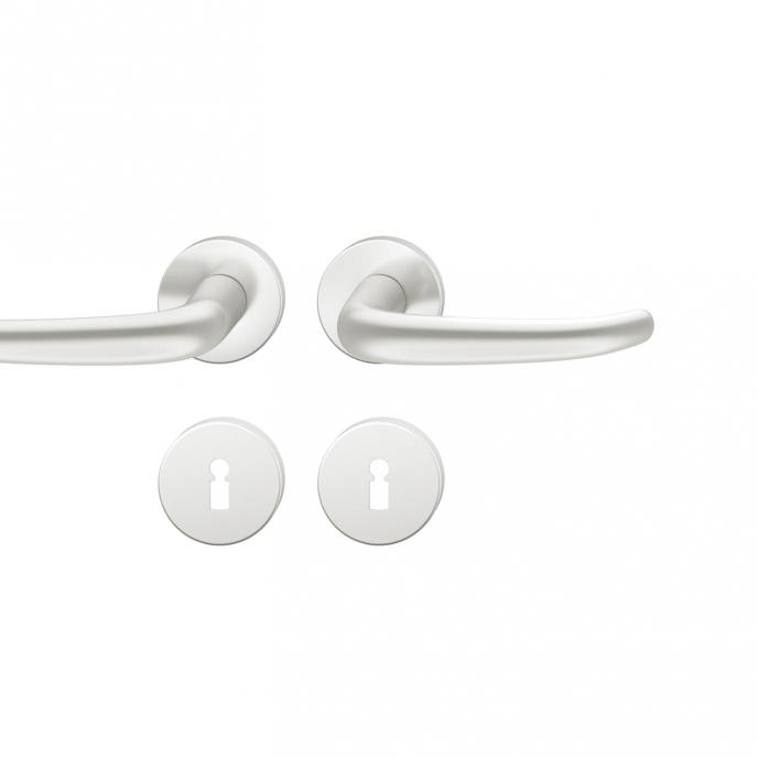 FSB 1023 Türgriff für Bundbartrosette Aluminium naturfarbig (0105)