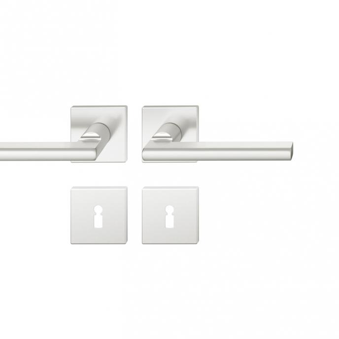 FSB 1035 Türgriff für Bundbartrosette Aluminium naturfarbig (0105)