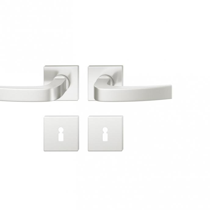 FSB 1163 Türgriff für Bundbartrosette Aluminium naturfarbig (0105)