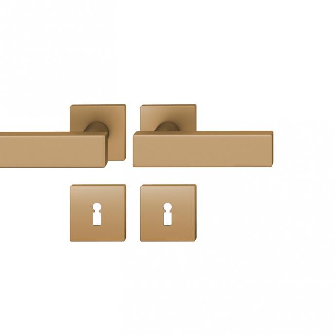 FSB 1003 Türgriff für Bundbartrosette 